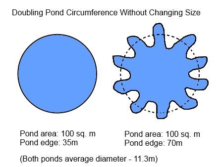 Pond edge diagram